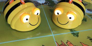 Bee-Bot Abenteuerwerkstatt Bee-bots