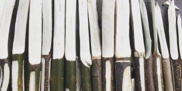 Schnitzworkshop Bild mit Schnitzmessern